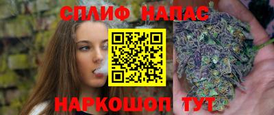 прущие грибы Кингисепп