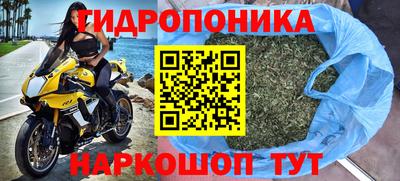 прущие грибы Кингисепп